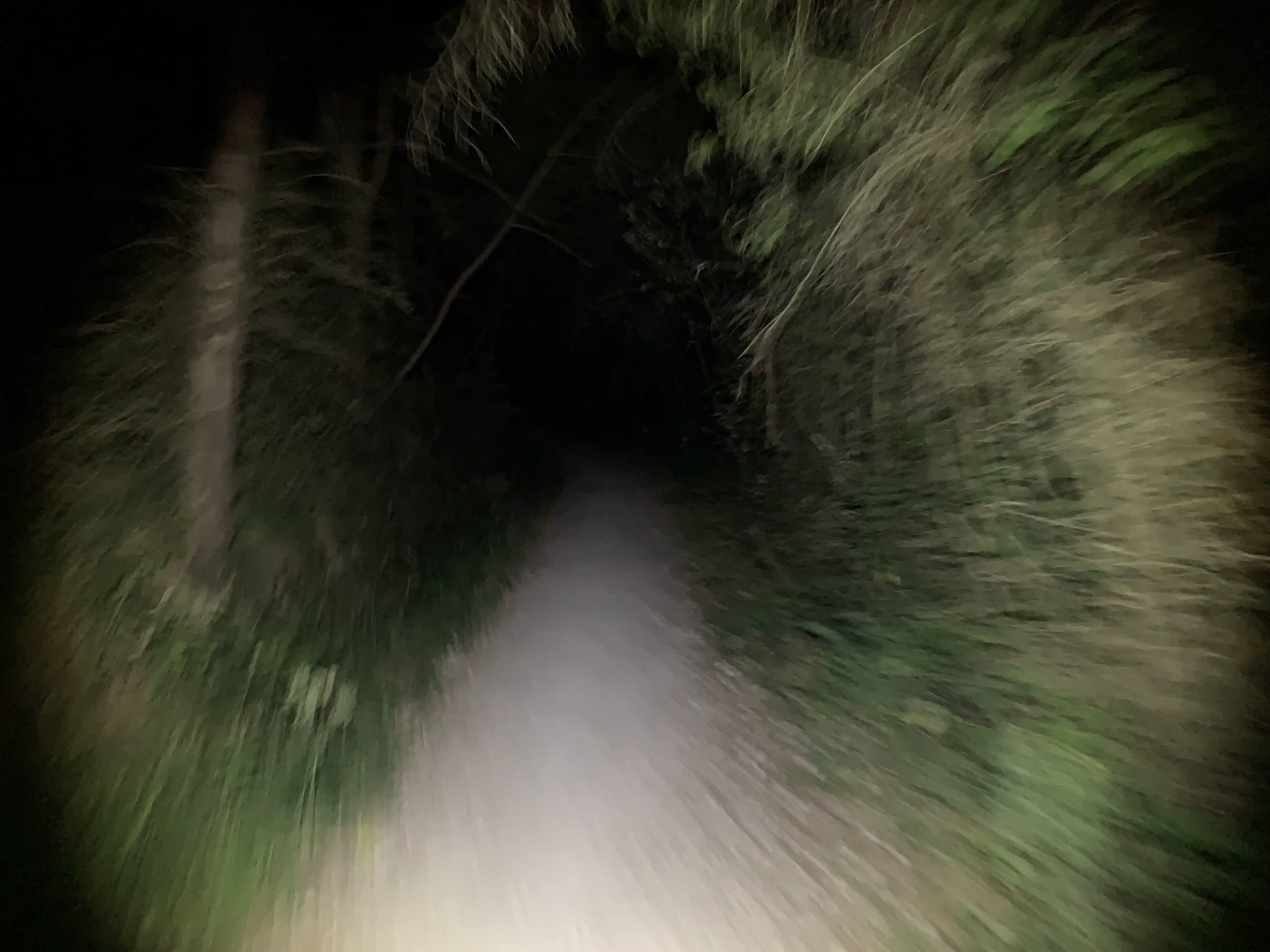 A dark hollow path into the darkness