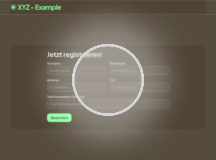 This picture shows you an example of how I see with my cataract a form on the website without any good label or different colors, different highlighting for what is optional and what is required. It is a bad example of how you can confuse users with a screen reader or users with low cognitive abilities.